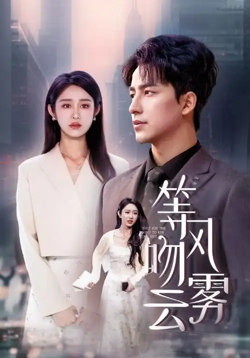 电视剧《锦绣长歌》海报